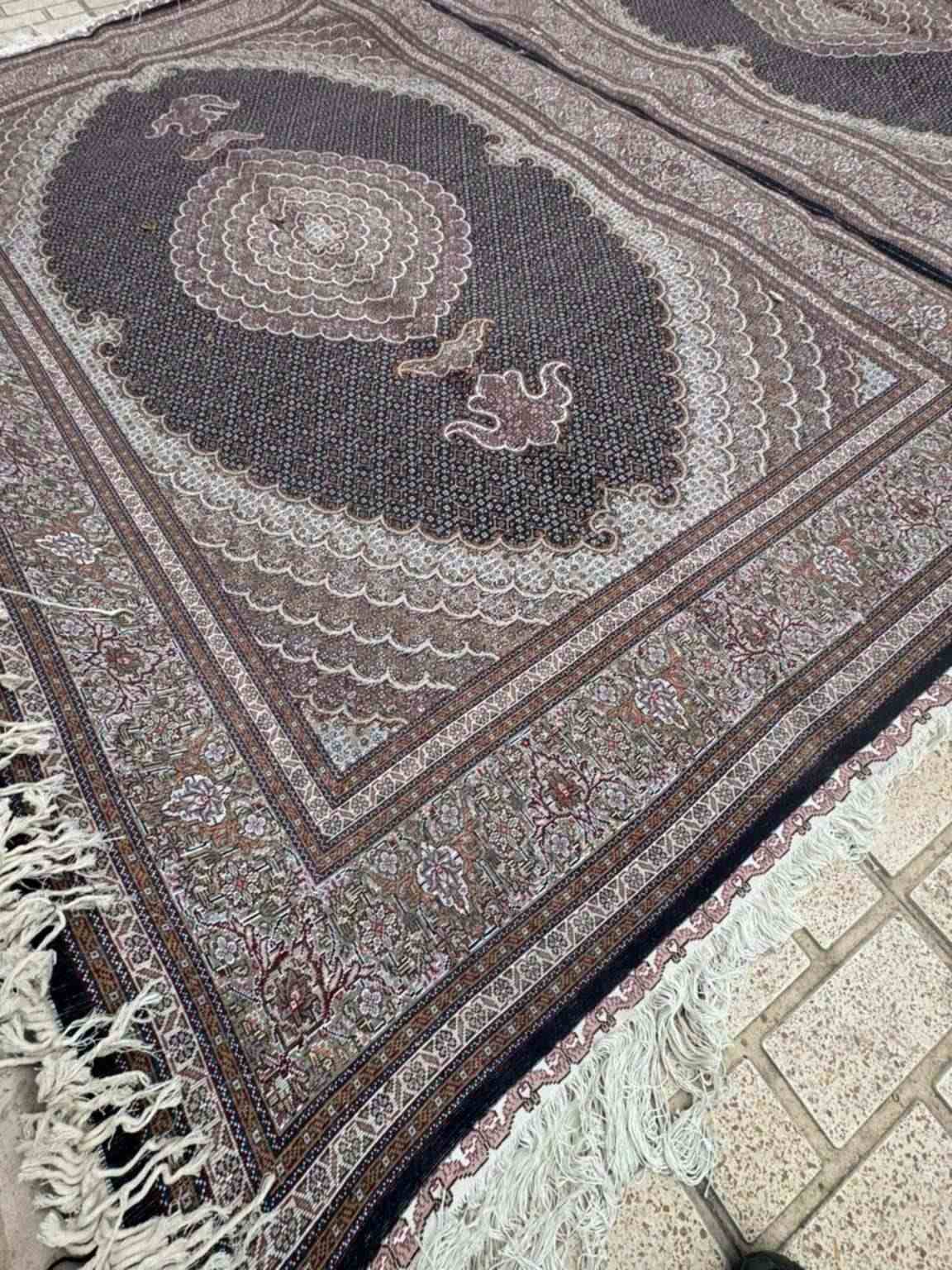 Ardabil Persian Hand-Knotted Carpet — Pearl Mahi — 250 × 350 cm — image 2
